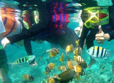 Words from Our Satisfied Clients